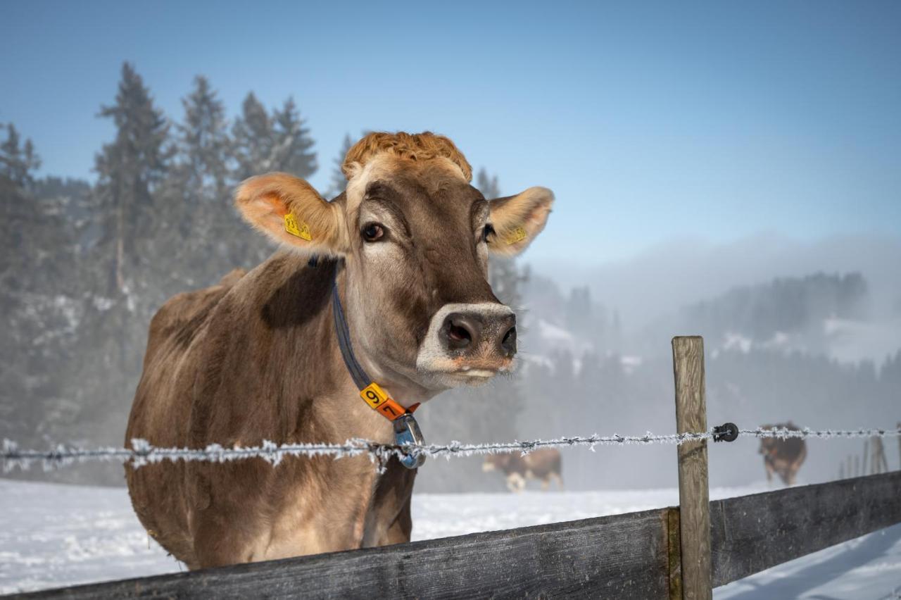 Hartungs Hoteldorf Füssen Eksteriør bilde